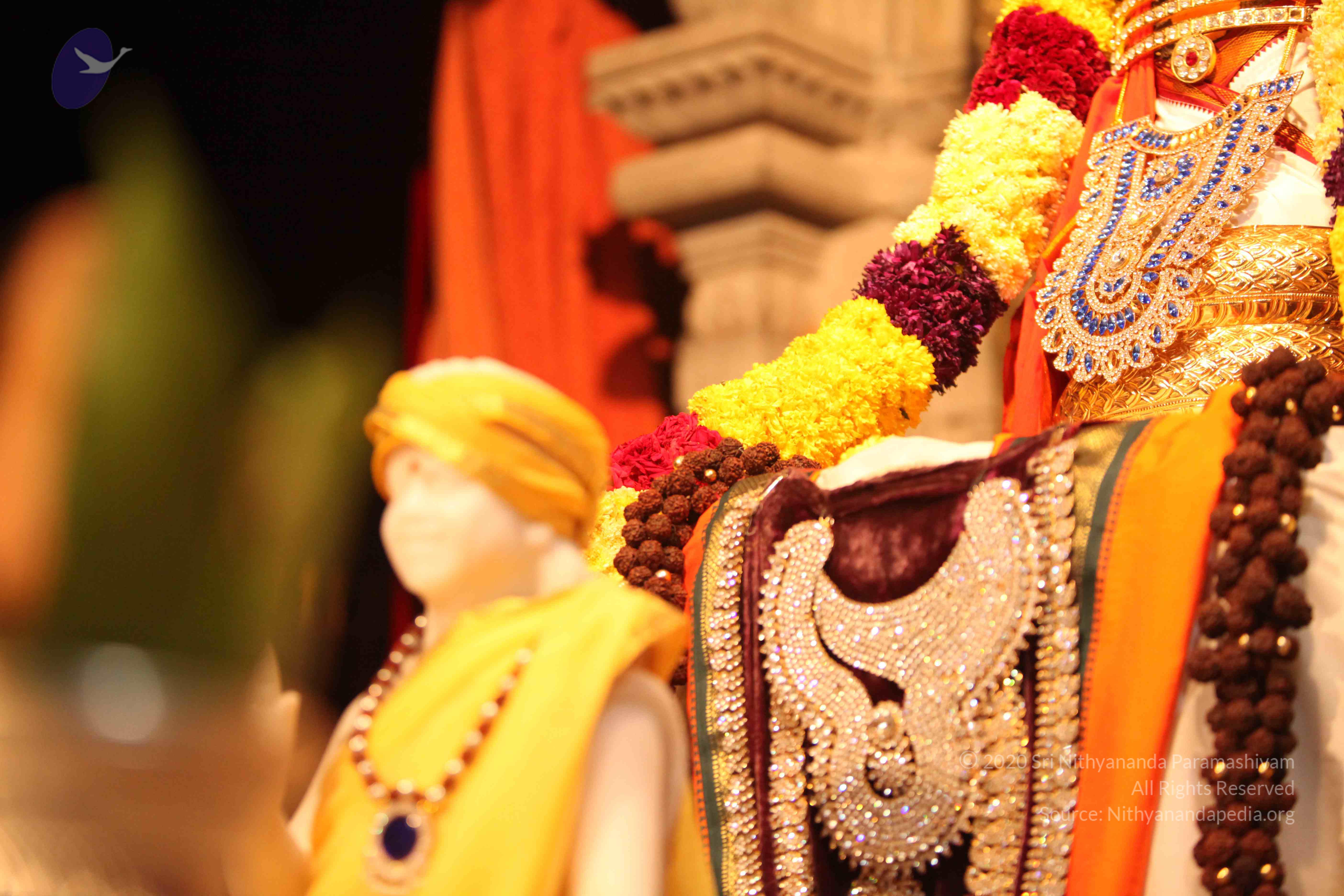 20110225_Photo_1003_IMG_1730_CMP_WM